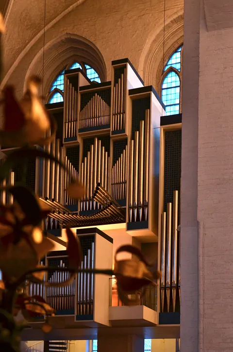 Große Marcussen-Orgel im abendlichen Dom